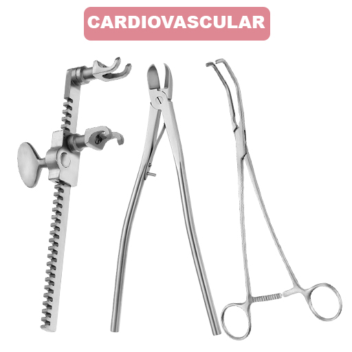 CARDIOVASCULAR