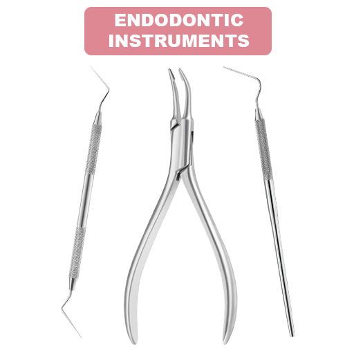 ENDODONTIC INSTRUMENTS