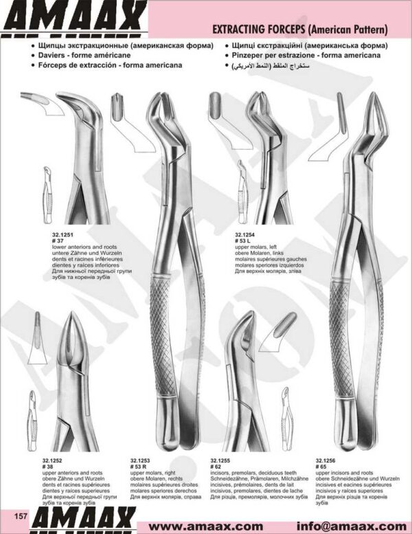 1d157-extracting-forceps-american-pattern