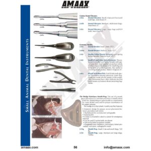 v056-canine-dental-elevator-root-pick