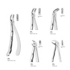 D019 Dental Extracting Forceps with anatomically shaped handle upper molars lower roots