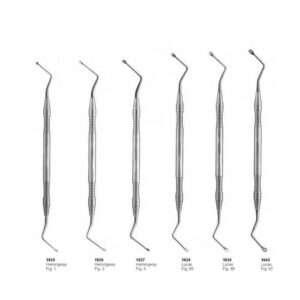 D073 Periodontia instruments curettes and scallers Hemingway Lucas