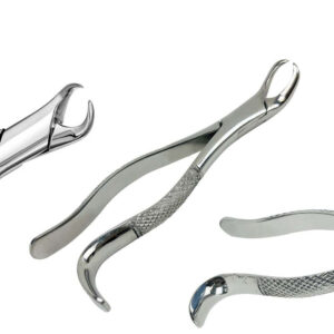 Dental Extracting Forceps Cow Horn Beak for Lower Molars in Stainless Steel Available in All Kinds & Sizes Dentistry Extraction