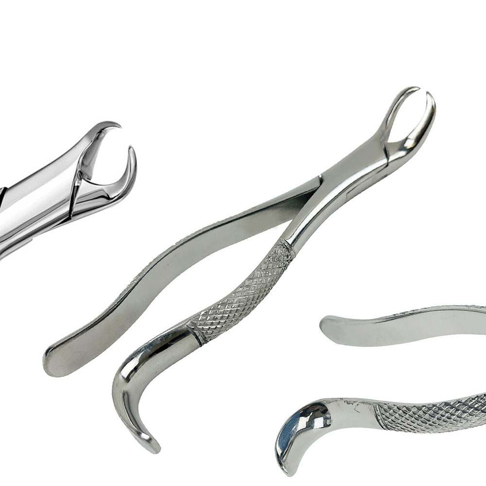 Dental Extracting Forceps Cow Horn Beak for Lower Molars in Stainless Steel Available in All Kinds & Sizes Dentistry Extraction