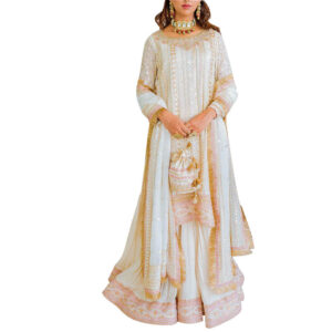 Hot Selling Wedding Dress New Wonderful Color Suit Party Amazing Hot Selling Pakistan Ladies Suit Indian Summer & Winter Wear