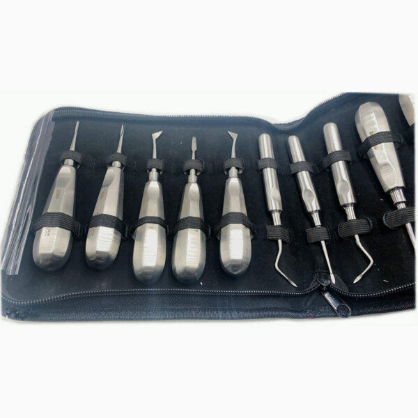 Full Set Dental Surgery Instrument Teeth Elevators Dental Root Elevator