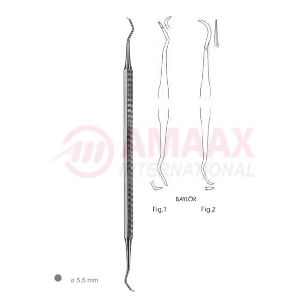 baylor scaler d e.jpg