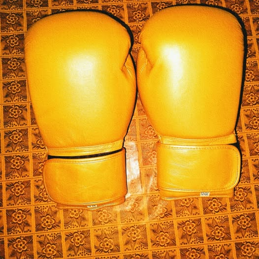Boxing gloves