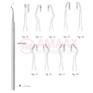 bunting file root plann 83.317.10 1.jpg