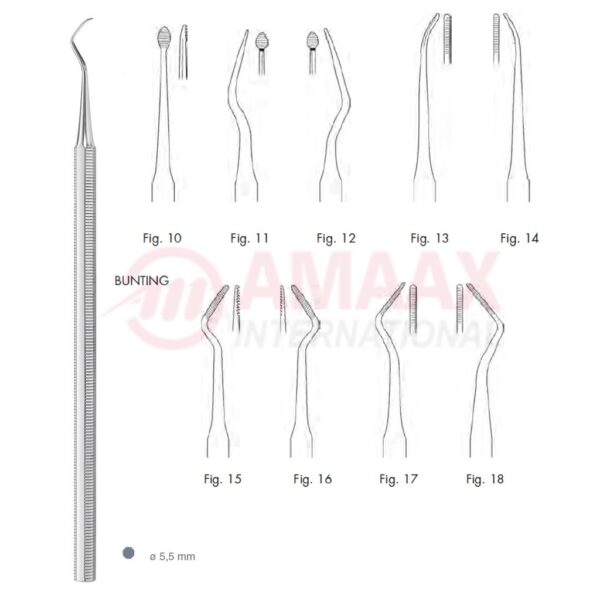 bunting file root plann 83.317.10.jpg