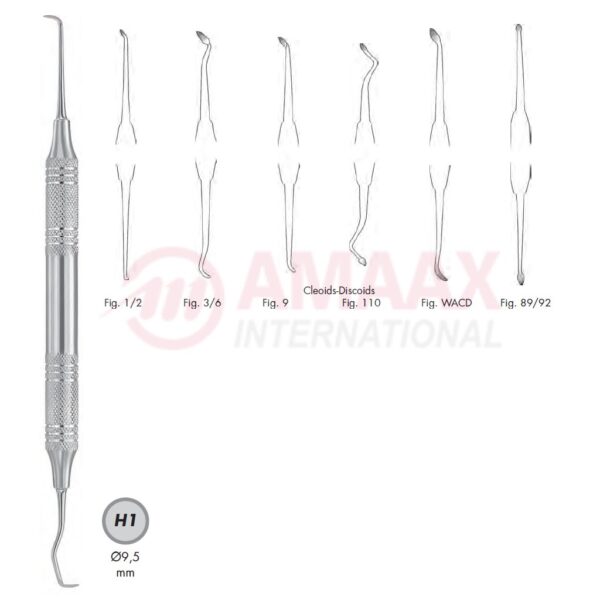 cleoid discoid carver 83.362.01h1.jpg