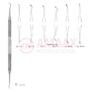 cleoid discoid carver fig.1 2 83.362.01.jpg