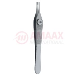 derlacki adson ossicle.jpg