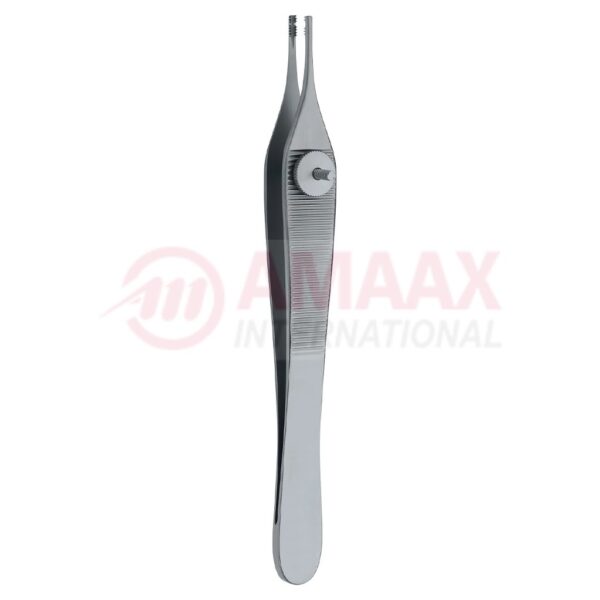 derlacki adson ossicle.jpg