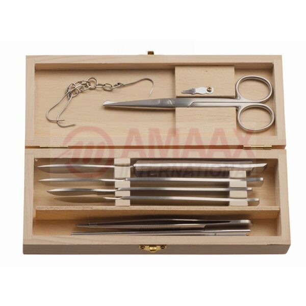 dissector set in wooden box.jpg