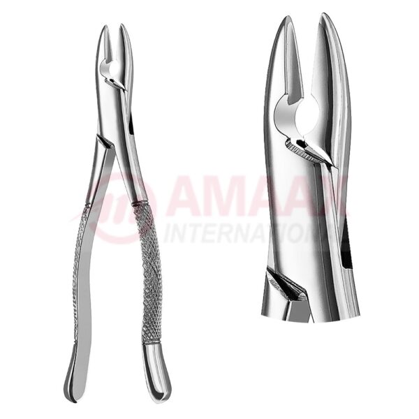 extracting forceps american fig.1 81.001.00.jpg