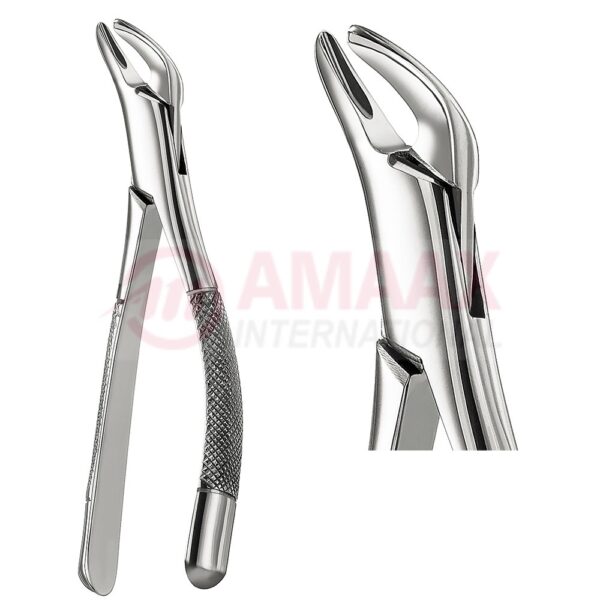 extracting forceps american fig.151 81.151.00.jpg