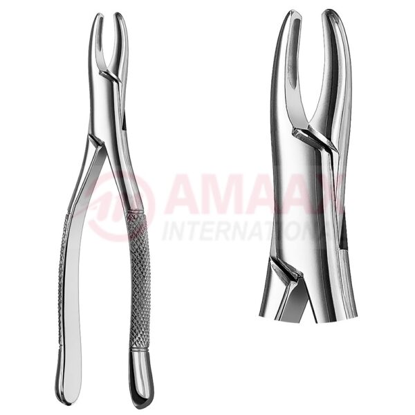 extracting forceps american fig.1b 81.001.02.jpg