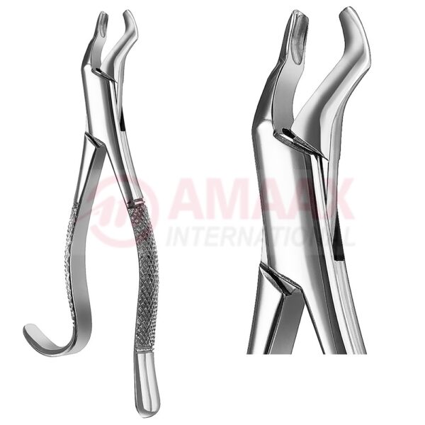 extracting forceps american fig.210h 81.210.04.jpg
