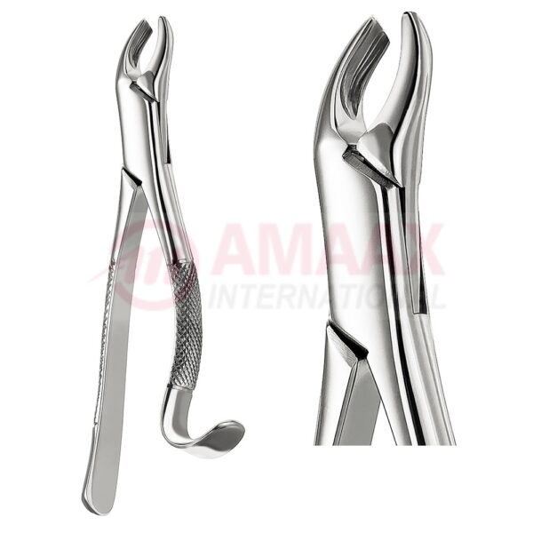 extracting forceps american fig.24 81.024.00.jpg