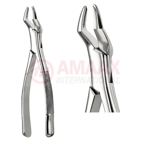 extracting forceps american fig.286 81.286.00.jpg