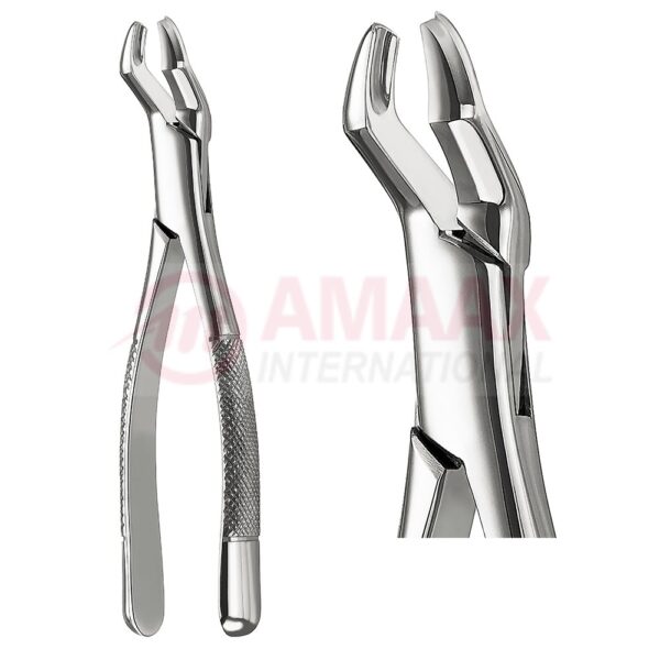 extracting forceps american fig.53r 81.053.08.jpg