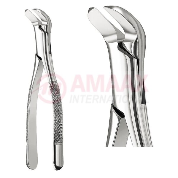 extracting forceps american fig.6 81.006.00.jpg