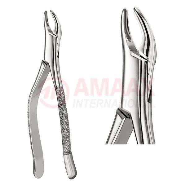extracting forceps american fig.62 81.062.00.jpg