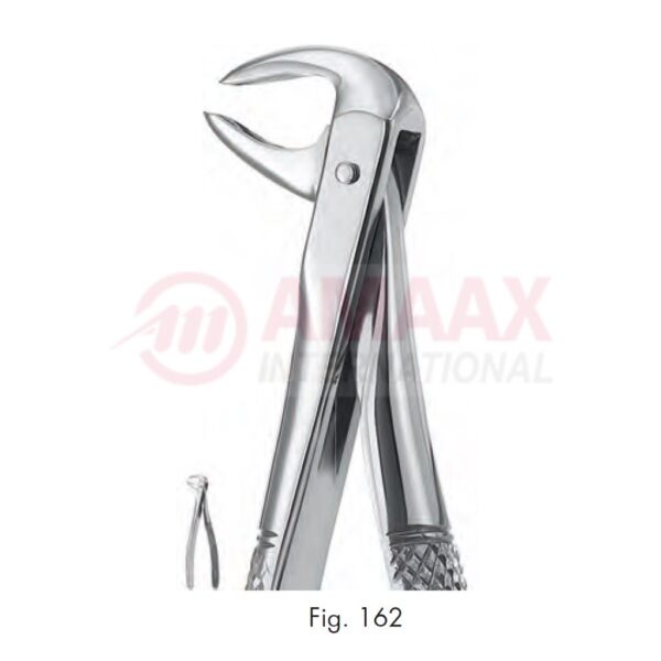 extracting forceps engl fig 162 childrens pattern 80.162.00.jpg