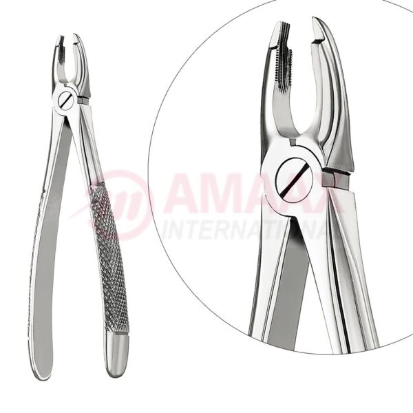 extracting forceps english fig.34 80.034.00.jpg
