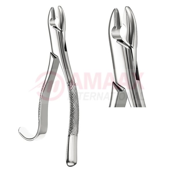 kells extracting forceps american fig.99a 81.099.01.jpg