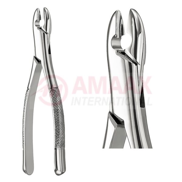 kells extracting forceps american fig.99c 81.099.03.jpg