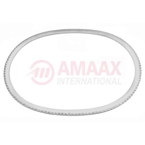 kirschner frame 300x240 mm.jpg