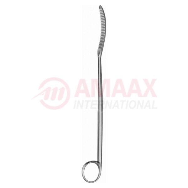 lane bone lever with ring 25.5cm.jpg