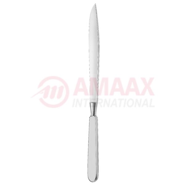 liston amputation knife.jpg