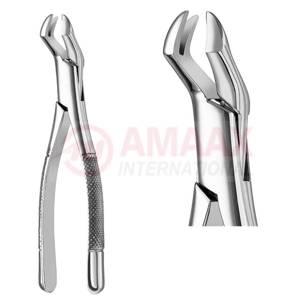 nevius extracting forceps american fig.88r 81.088.08.jpg