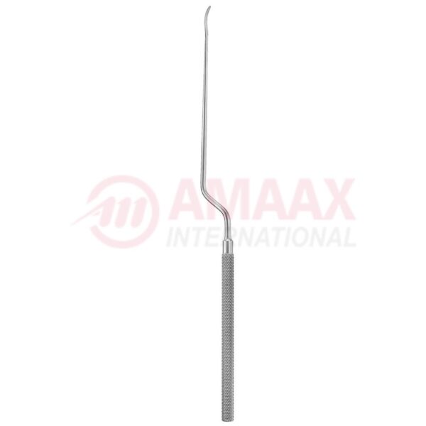 nicola raspatory 21.5 cm.jpg