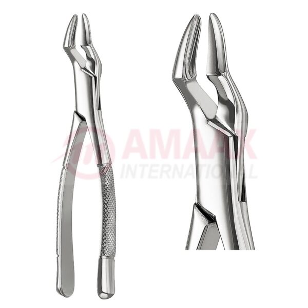 parmly extracting forceps american fig.32 81.032.00.jpg