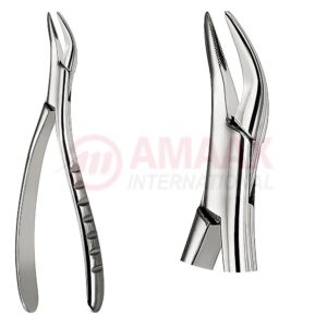 root forceps serrated size 300 81.300.00.jpg