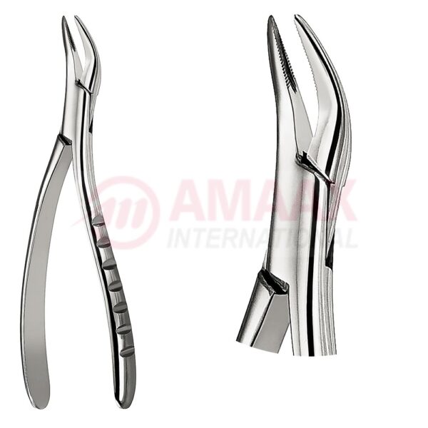 root forceps serrated size 300 81.300.00.jpg