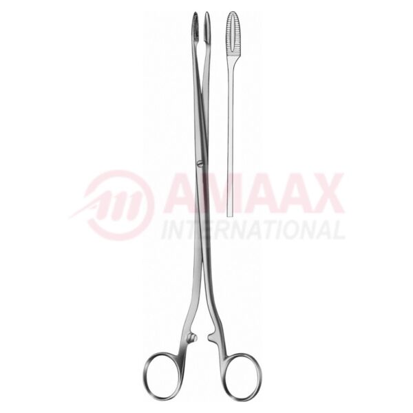 sponge and dressing forceps str.jpg