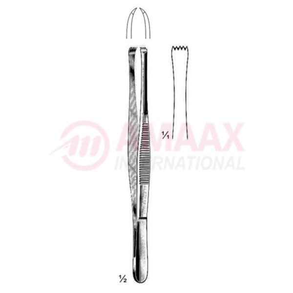 stone forceps 4x5 teeth 15cm.jpg