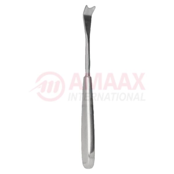 wagner raspatory 33cm long.jpg