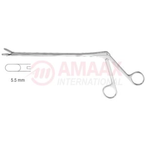 wagner rongeur heavy pattern 21 cm.jpg