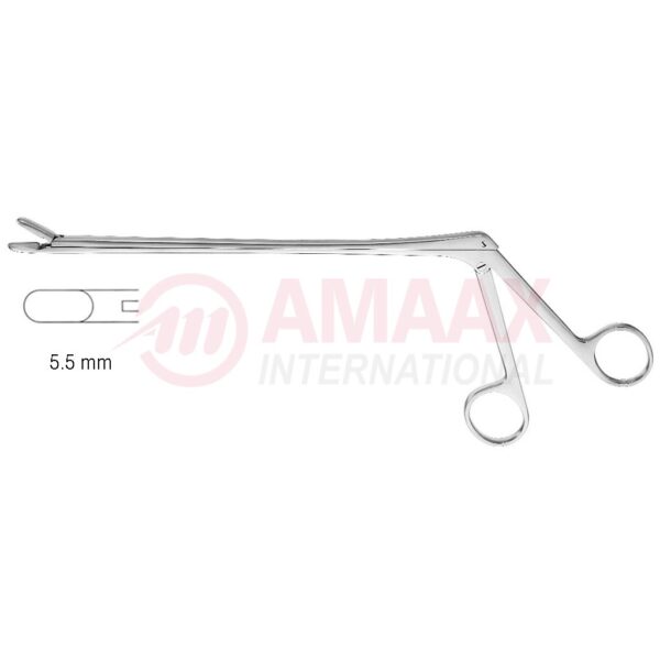 wagner rongeur heavy pattern 21 cm.jpg