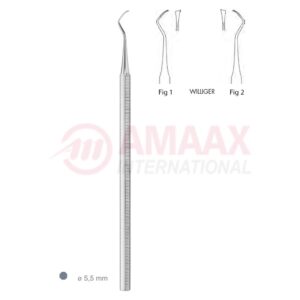 williger scaler octag.1 e.jpg