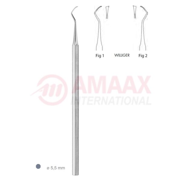 williger scaler octag.1 e.jpg