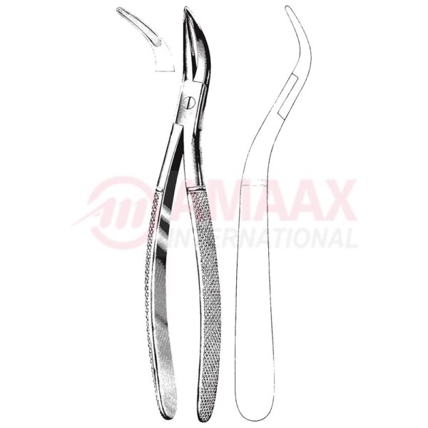witzel root fragment forceps fig.501 81.501.00.jpg