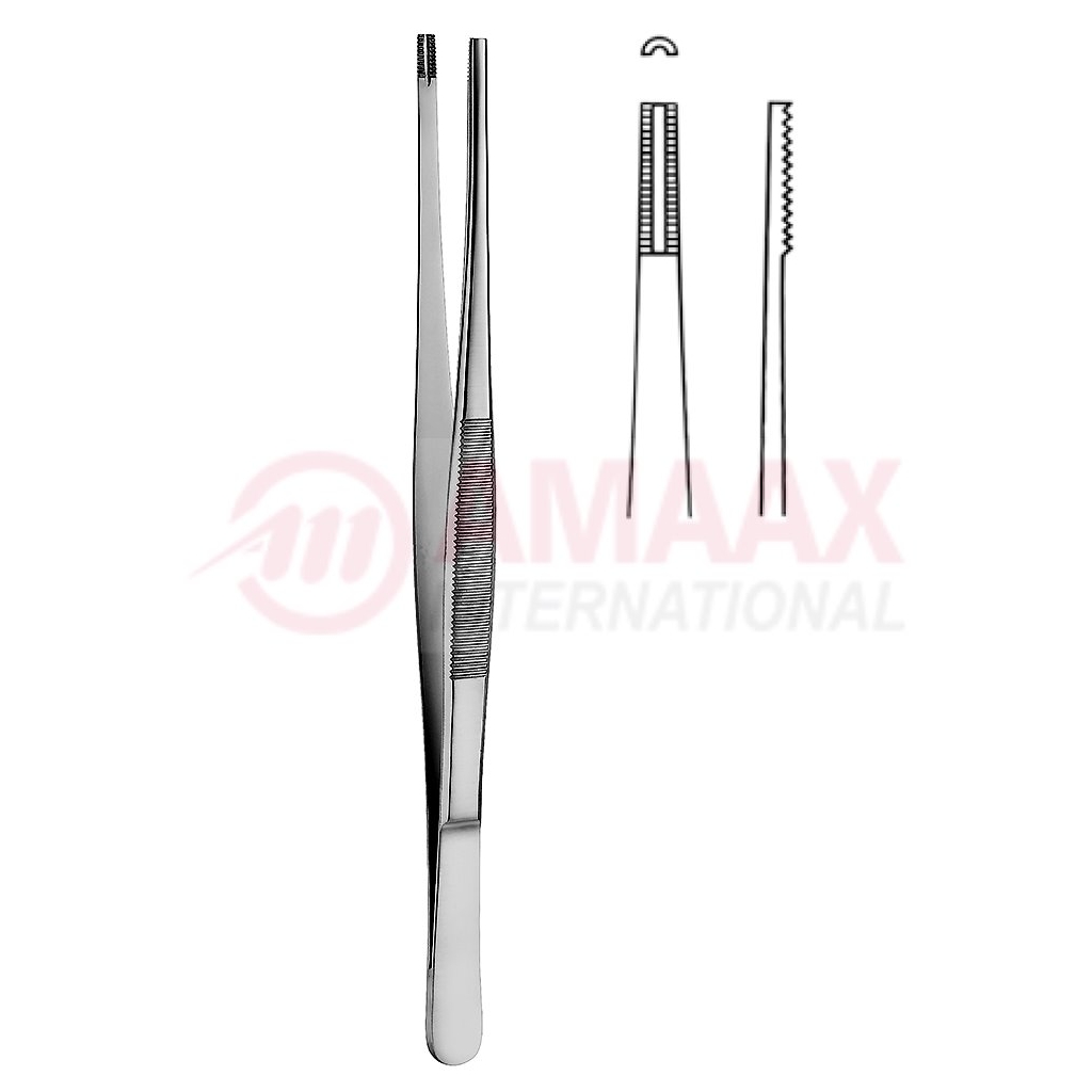 brown-forceps-toothed
