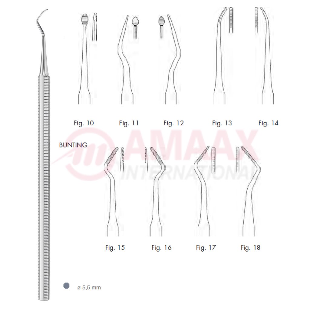 bunting-file-root-plann-83.317.10